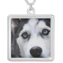 husky-54 grimpolas personalizadas