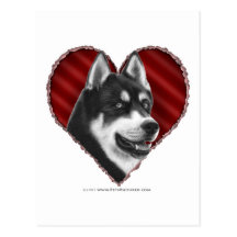 Husky siberiano con el corazón tarjeta postal