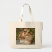 Husky siberiano y perro de Pomerania Pomeranian de Bolsas Lienzo