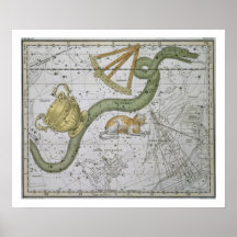 Hydra, "de un atlas celestial", pub. en 1822 (col poster