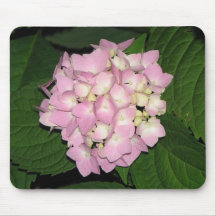 Hydrangea Alfombrillas De Raton
