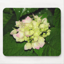 Hydrangea Alfombrillas De Ratones