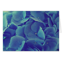 Hydrangea azul hermoso felicitaciones