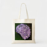 Hydrangea Bolsas