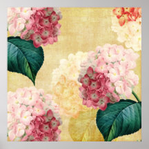 Hydrangea bonito floral poster