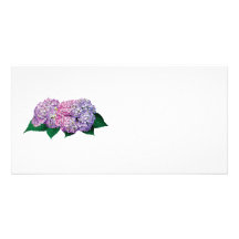 Hydrangea del rosa y de la lavanda tarjeta personal