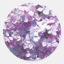 Hydrangea Etiquetas