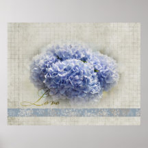 Hydrangeas azules románticos poster