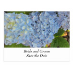 Hydrangeas azules y de color de malva del boda postal