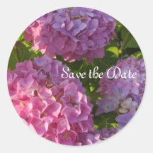 Hydrangeas rosados etiquetas  
