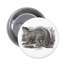Hylaeosaurus Pins