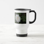 ¡I Bellieve! Taza del 15:6 de la génesis