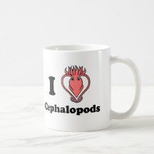 I cefalópodos del calamar tazas