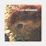¡I CONEJITOS DE LUV! Lindo Imanes De Nevera