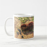 ¡I CONEJITOS DE LUV! Lindo Tazas