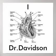 I corazón Dr.Davidson Posters