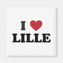 I corazón Lille Francia Iman De Nevera