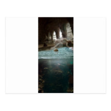 I die without you tarjetas postales