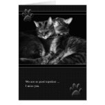 I gatos de Tabby de Srta. You Gray tarjetas