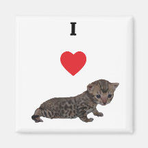 I imán de Bengals del corazón