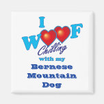 I perro de montaña de Bernese del tejido Imanes