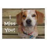 I tarjeta de felicitación de Srta. You Beagle Mix