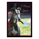 I tarjeta de felicitación de Srta. You Greyhound