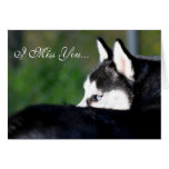 I tarjeta de felicitación del husky siberiano de S