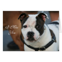 I tarjeta de Srta. You Staffordshire bull terrier