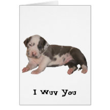 I Wuv usted Felicitacion