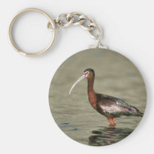 Ibis Blanco-hecho frente Llavero