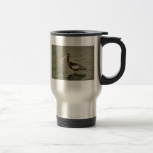 Ibis Blanco-hecho frente Tazas