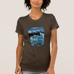 Iceberg de hielo camisetas