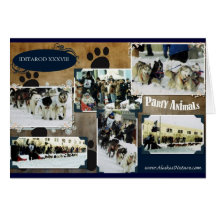 Iditarod 2010 felicitacion 