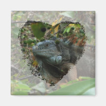 Iguana de la selva imanes para frigoríficos