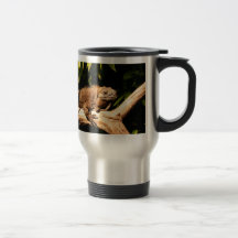 Iguana jamaicana en peligro tazas