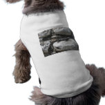 Iguana mexicana camisetas de perro