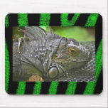 Iguana alfombrillas de raton 