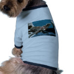 Iguanas marinas ropa de perros