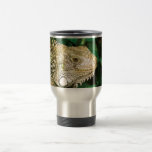 Iguanas Tazas De Café
