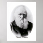 Ilustración de Charles Darwin Posters