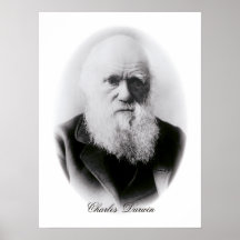Ilustración de Charles Darwin Posters