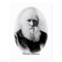 Ilustración de Charles Darwin Tarjeta Postal