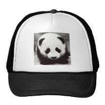 Ilustraciones de la panda gorro