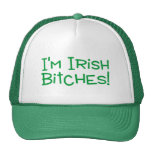 Im perras irlandesas gorras