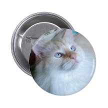image.jpg pin