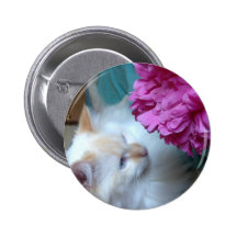 image.jpg pins