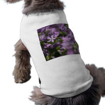 Imagen 038 camisa de mascota
