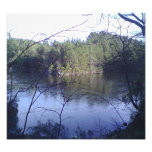 Imagen 3 del lago foto
