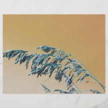 Imagen anaranjada del cielo de Brown de la avena a Flyer Personalizado
